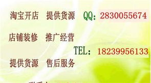 淘寶創業全攻略 從開店、推廣到專業培訓，解鎖網店經營核心技術